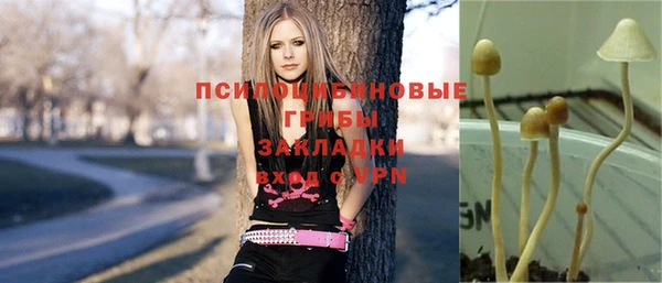 спиды Заводоуковск