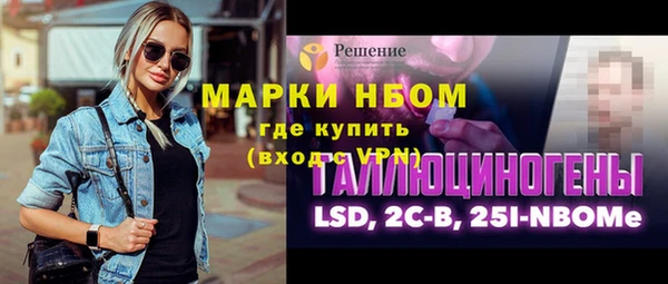 амф Ельня