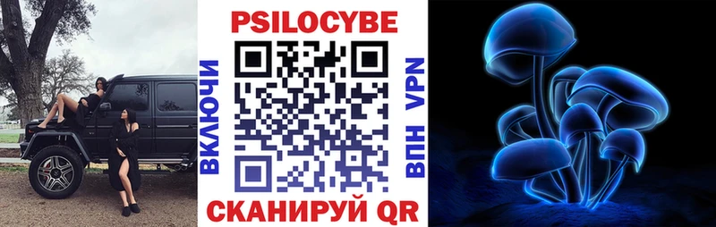 mega ТОР  Дербент  Галлюциногенные грибы Psilocybine cubensis  где купить наркоту 